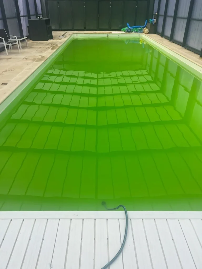 Eau de piscine verte : causes et solutions durables